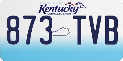 KY license plate 873TVB