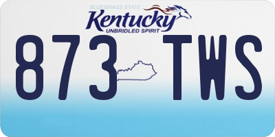 KY license plate 873TWS