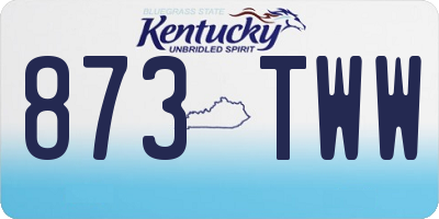 KY license plate 873TWW