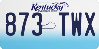KY license plate 873TWX