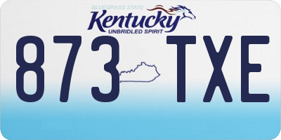 KY license plate 873TXE
