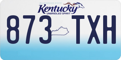 KY license plate 873TXH