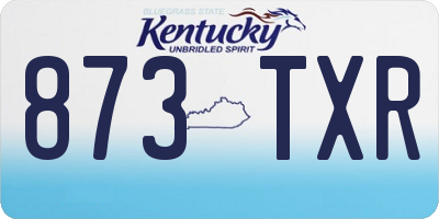 KY license plate 873TXR