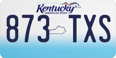 KY license plate 873TXS