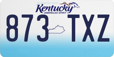 KY license plate 873TXZ