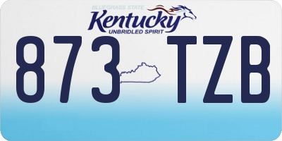 KY license plate 873TZB