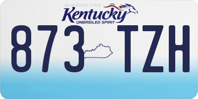 KY license plate 873TZH