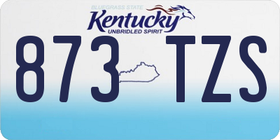 KY license plate 873TZS