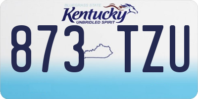 KY license plate 873TZU