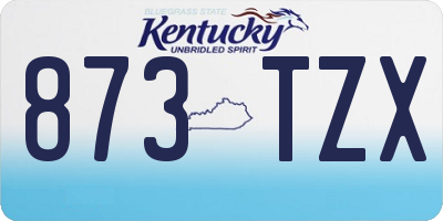 KY license plate 873TZX
