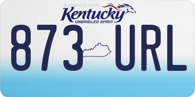 KY license plate 873URL
