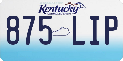 KY license plate 875LIP