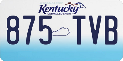 KY license plate 875TVB