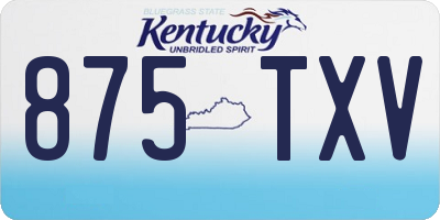 KY license plate 875TXV