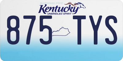 KY license plate 875TYS