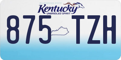 KY license plate 875TZH