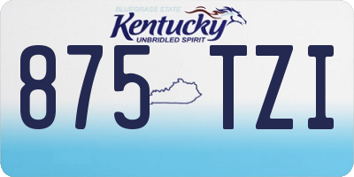 KY license plate 875TZI