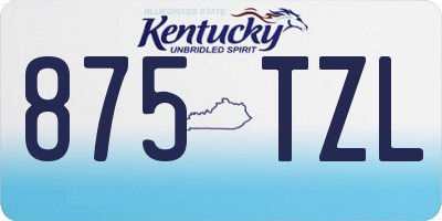 KY license plate 875TZL