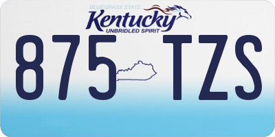 KY license plate 875TZS