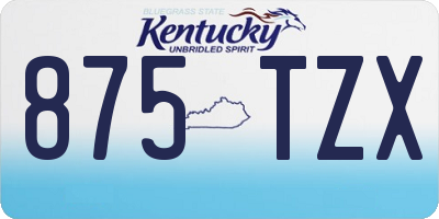KY license plate 875TZX