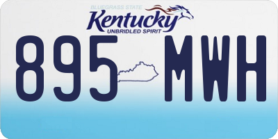 KY license plate 895MWH