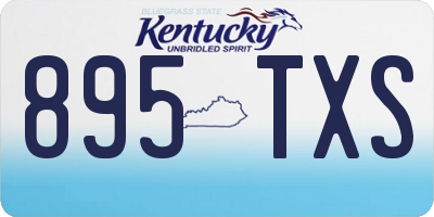 KY license plate 895TXS