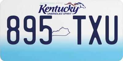 KY license plate 895TXU