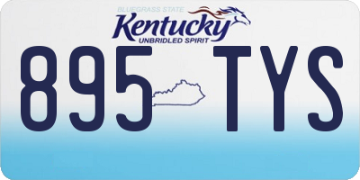 KY license plate 895TYS