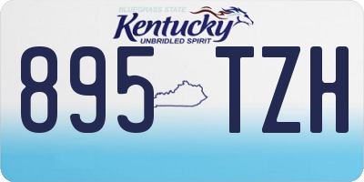 KY license plate 895TZH