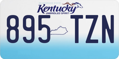 KY license plate 895TZN