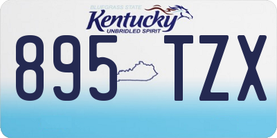 KY license plate 895TZX