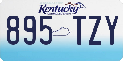 KY license plate 895TZY