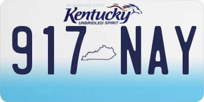 KY license plate 917NAY