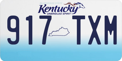 KY license plate 917TXM
