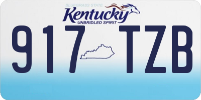 KY license plate 917TZB