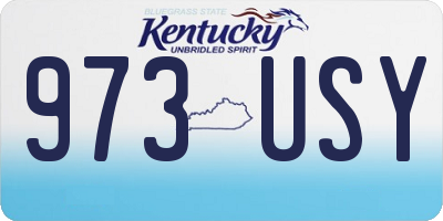 KY license plate 973USY