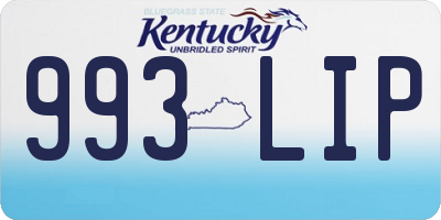 KY license plate 993LIP