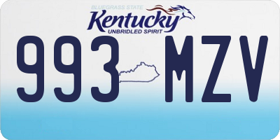KY license plate 993MZV