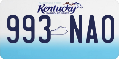 KY license plate 993NAO