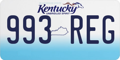 KY license plate 993REG