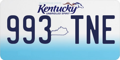 KY license plate 993TNE