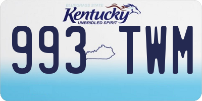 KY license plate 993TWM