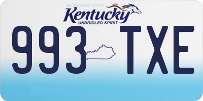 KY license plate 993TXE