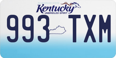 KY license plate 993TXM