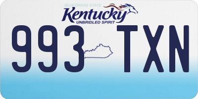 KY license plate 993TXN