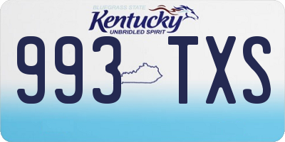 KY license plate 993TXS