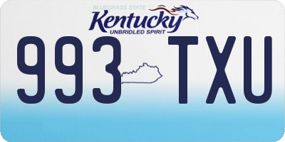 KY license plate 993TXU