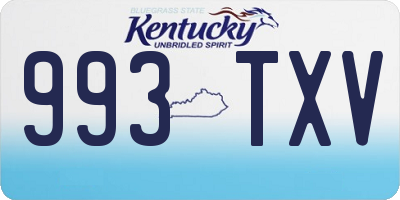 KY license plate 993TXV