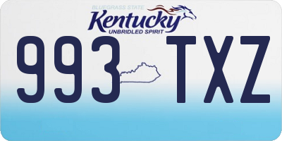 KY license plate 993TXZ