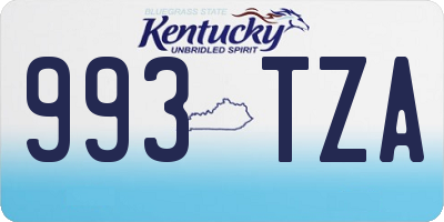 KY license plate 993TZA